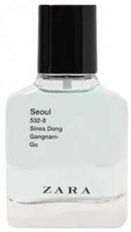 Zara Seoul 532-8 Sinsa Dong Gangnam-Gu EDT 30 ml Erkek Parfümü kullananlar yorumlar